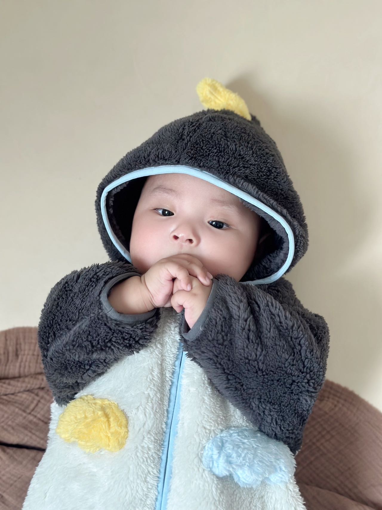 25327 - 象咖秀- 儿童模特分享平台